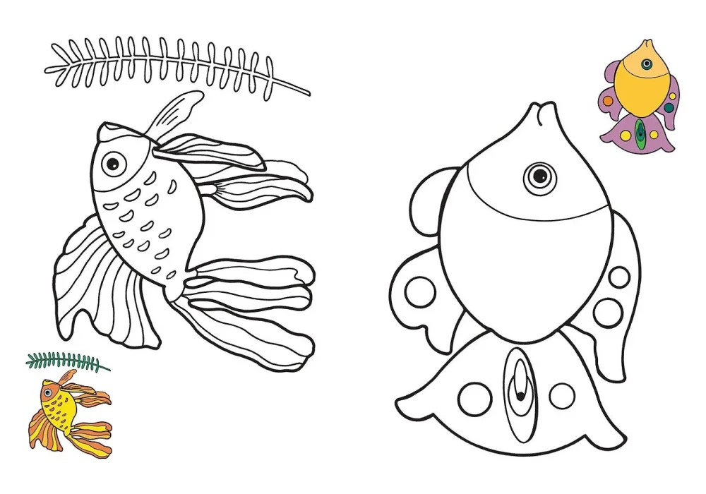 Color by Sample. Underwater World