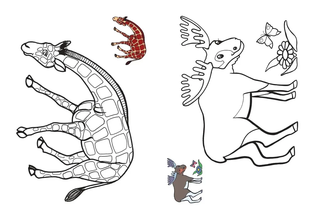 Color by sample. Wild animals