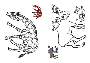 Color by sample. Wild animals