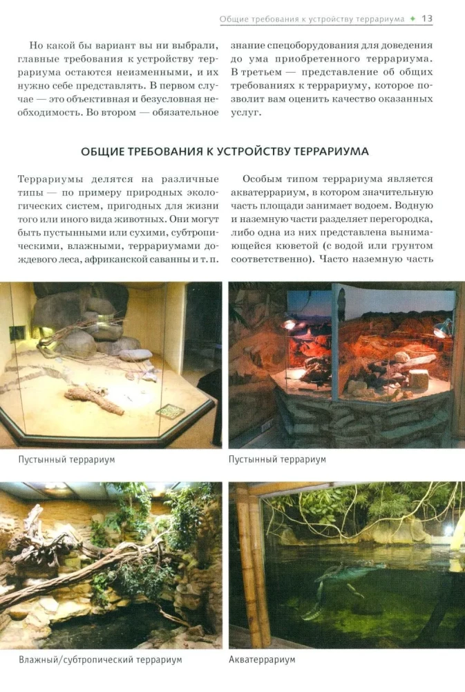 Terrarium: yesterday, today, tomorrow