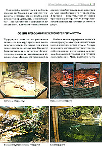 Terrarium: yesterday, today, tomorrow