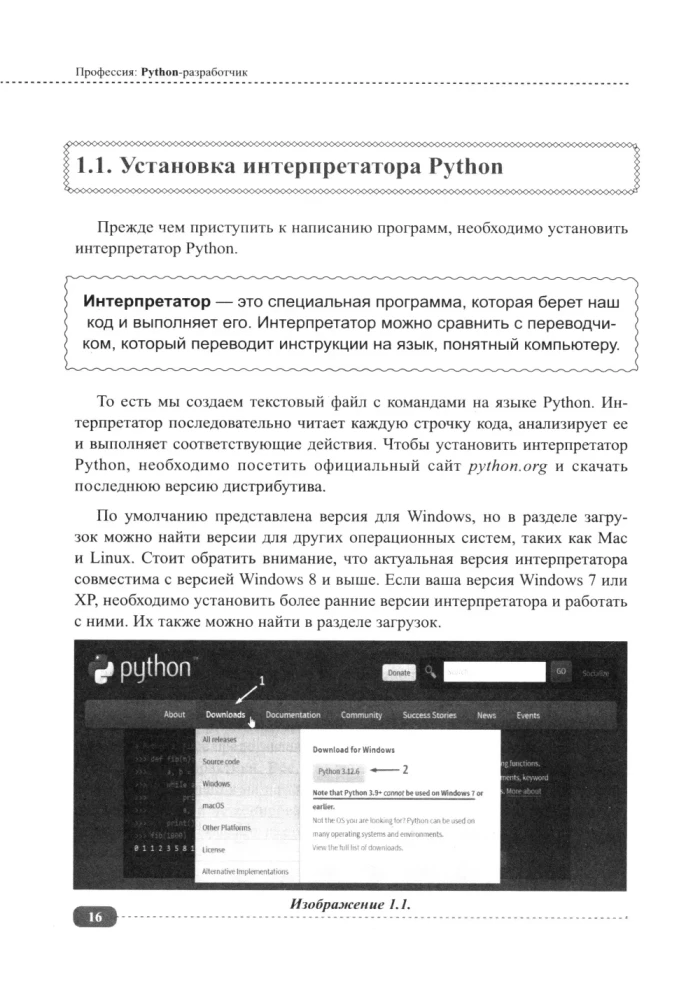 Beruf: Python-Entwickler