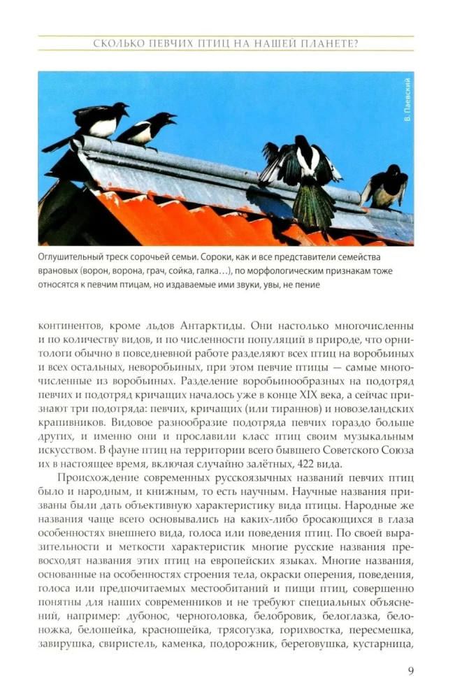 The Life of Songbirds