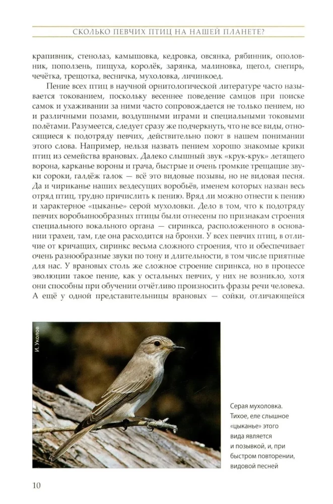 The Life of Songbirds