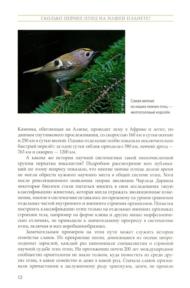 The Life of Songbirds