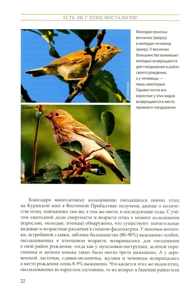 The Life of Songbirds
