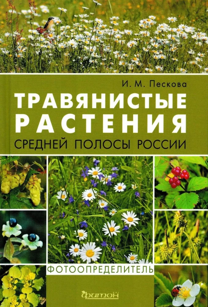 Herbaceous Plants of the Central Region of Russia. Photo Identifier