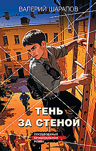 Тень за стеной