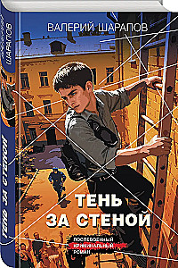 Тень за стеной