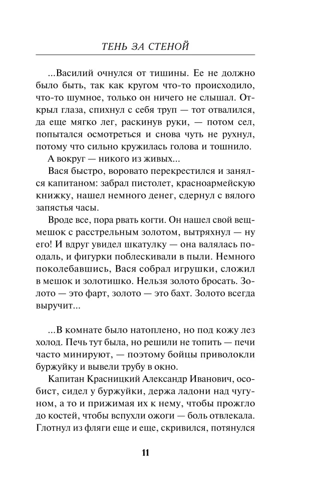 Тень за стеной