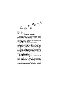 You Are Registered for a Cat