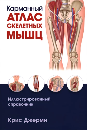 Pocket Atlas of Skeletal Muscles: Illustrated Guide