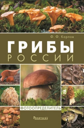 Mushrooms of Russia: A Photo Identifier