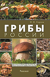 Mushrooms of Russia: A Photo Identifier