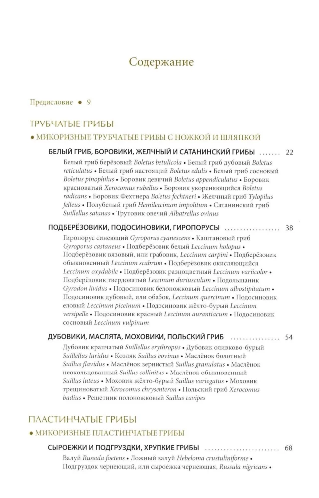 Mushrooms of Russia: A Photo Identifier