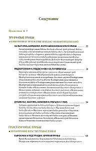 Mushrooms of Russia: A Photo Identifier