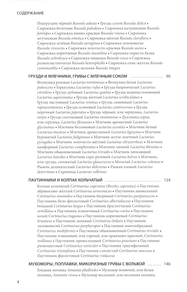 Mushrooms of Russia: A Photo Identifier
