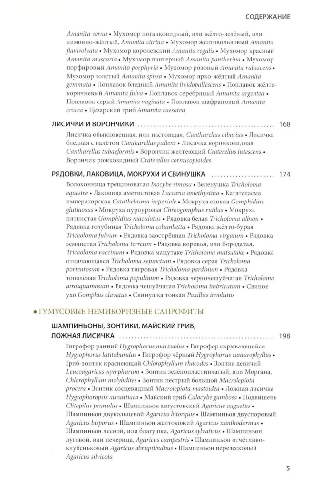 Mushrooms of Russia: A Photo Identifier