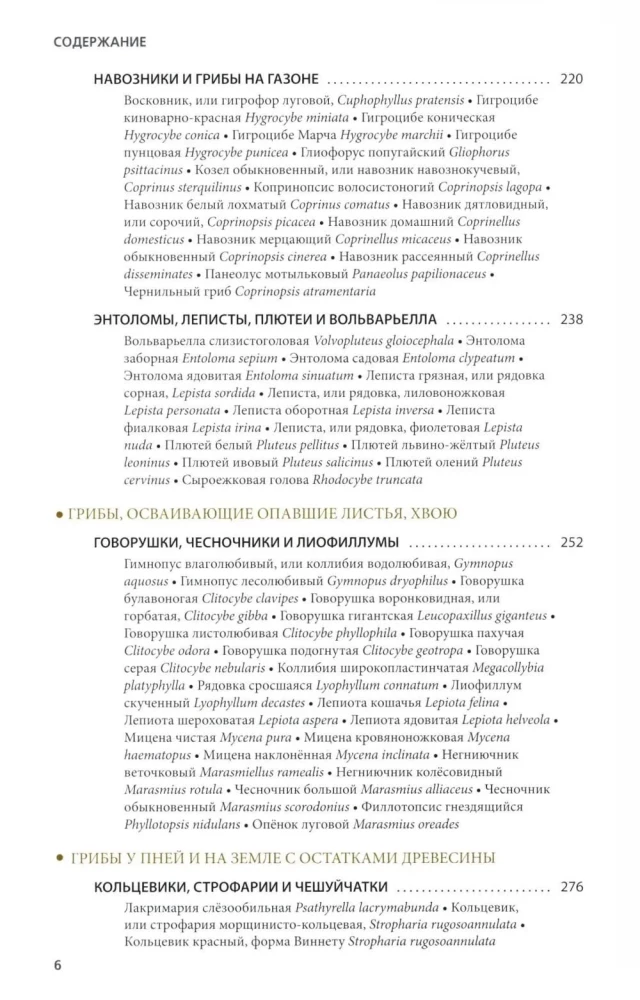Mushrooms of Russia: A Photo Identifier