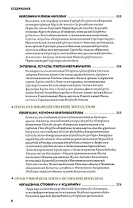 Mushrooms of Russia: A Photo Identifier