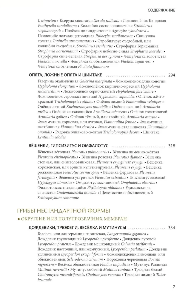 Mushrooms of Russia: A Photo Identifier