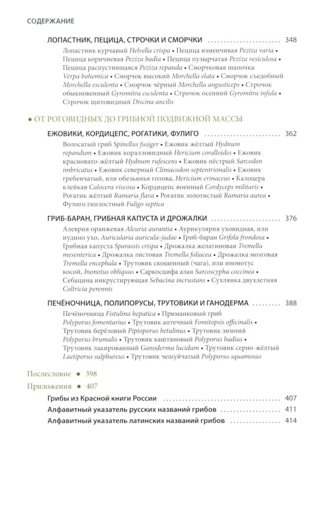 Mushrooms of Russia: A Photo Identifier