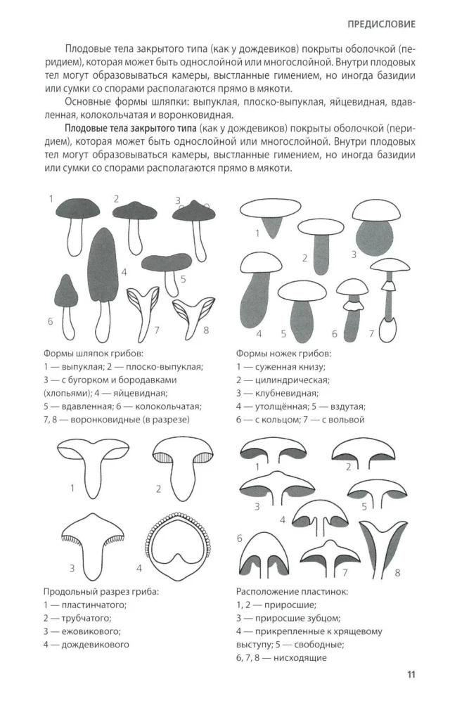 Mushrooms of Russia: A Photo Identifier