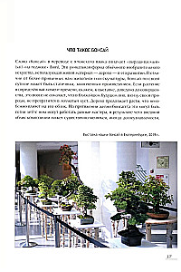 Bonsai. Small trees for great joy