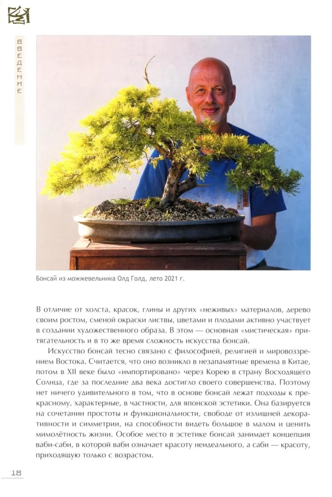 Bonsai. Small trees for great joy