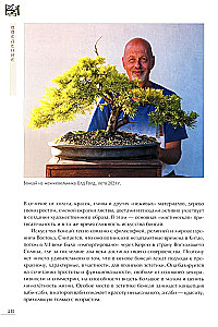 Bonsai. Small trees for great joy