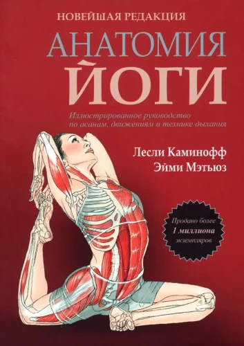 Anatomia jogi