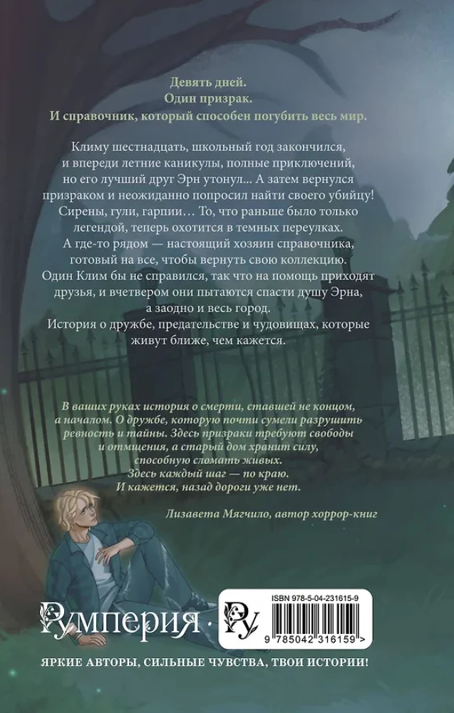 The Shadow of the Gray House