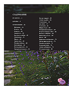 Blumenbeete. 60 fertige Lösungen für Landschaftskompositionen