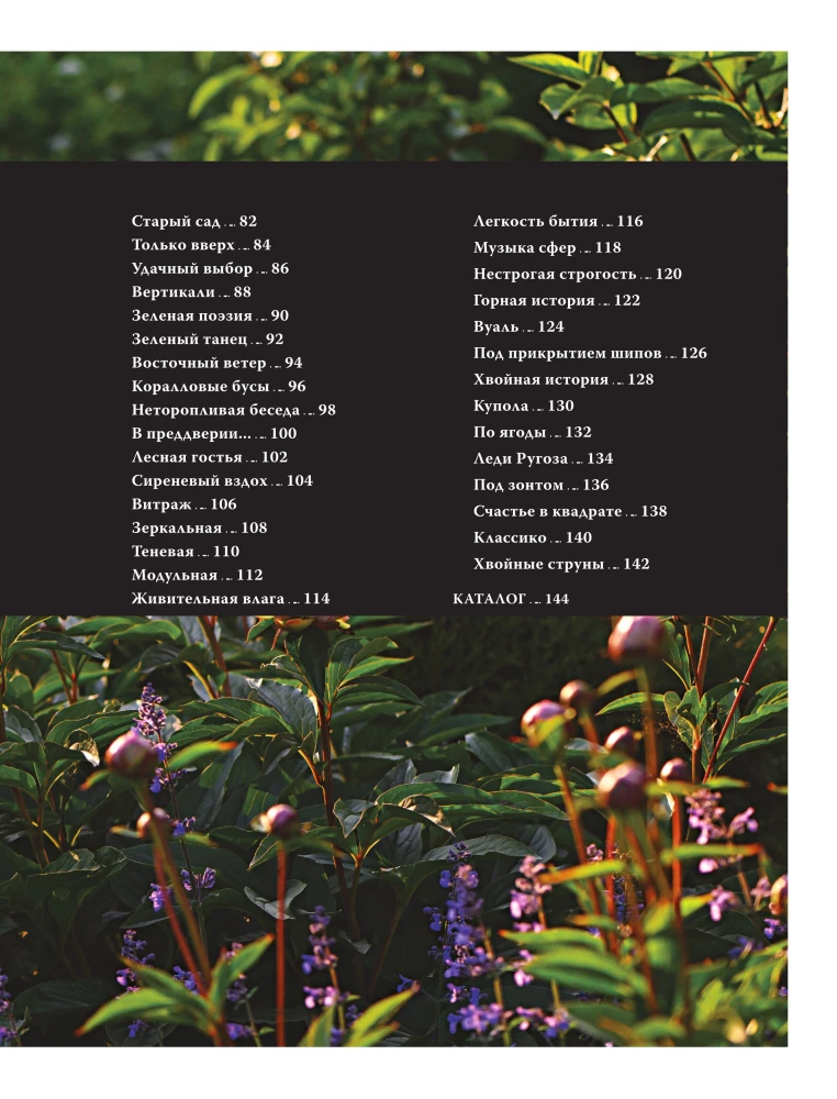Blumenbeete. 60 fertige Lösungen für Landschaftskompositionen