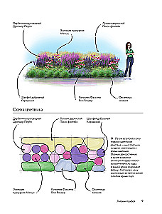 Blumenbeete. 60 fertige Lösungen für Landschaftskompositionen