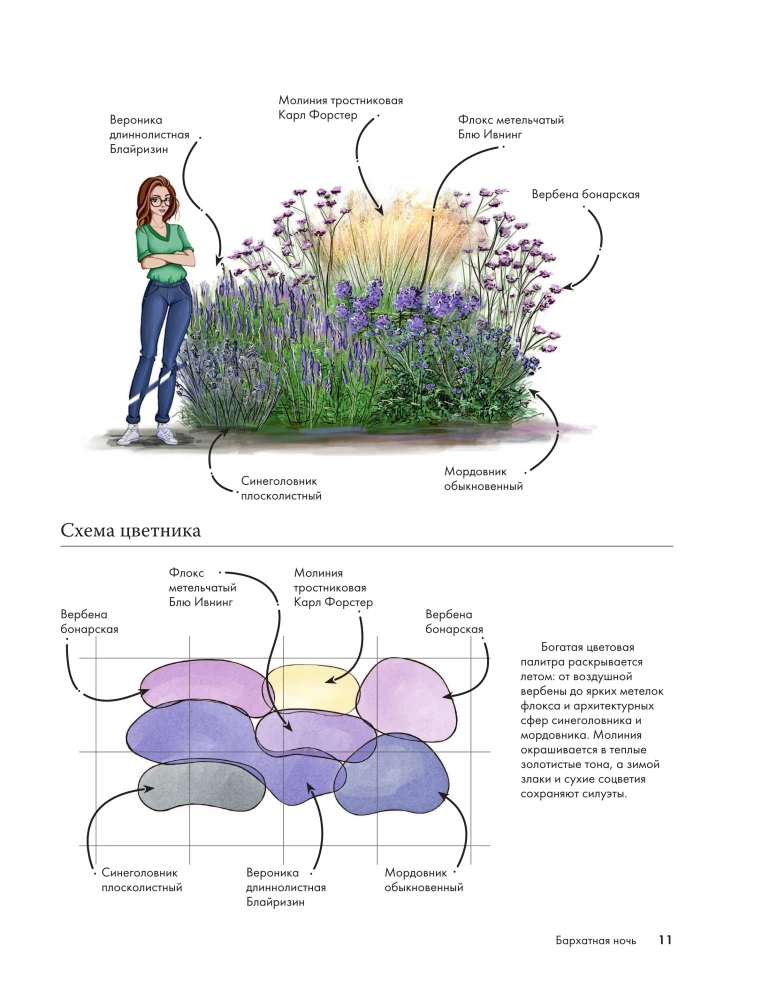 Blumenbeete. 60 fertige Lösungen für Landschaftskompositionen