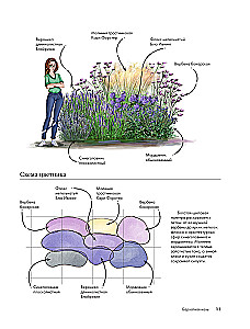 Blumenbeete. 60 fertige Lösungen für Landschaftskompositionen