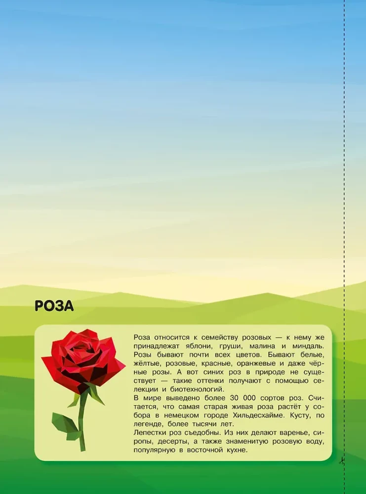Magia kolorów