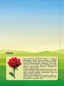 Magia kolorów