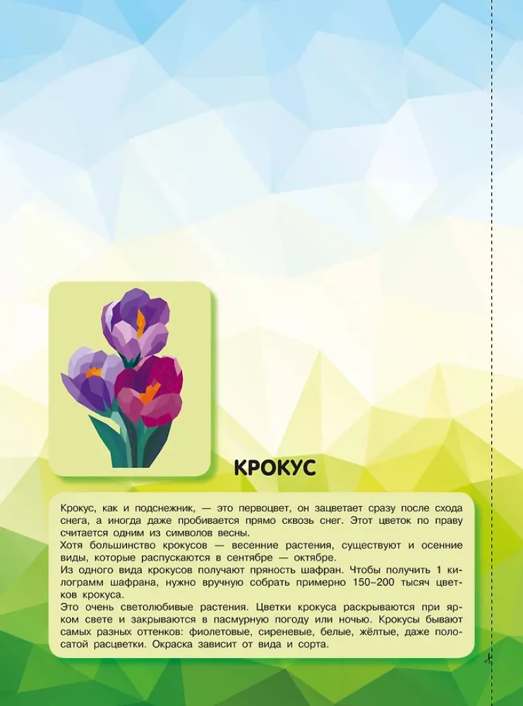 Magia kolorów