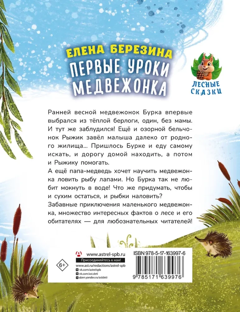 Pierwsze lekcje niedźwiadka