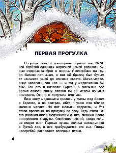 Pierwsze lekcje niedźwiadka