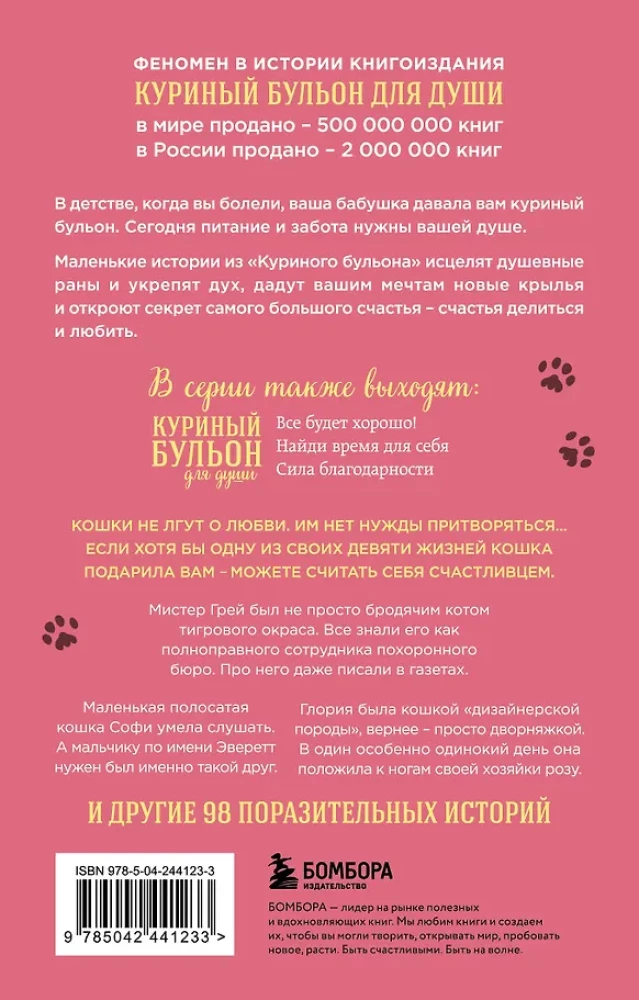 Rosół z kurczaka dla duszy. Nie mogę uwierzyć, że to zrobił mój kot! 101 historia o niezwykłych wybrykach ulubionych zwierząt