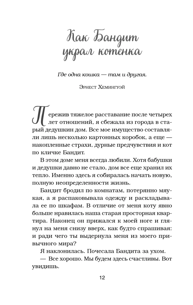 Rosół z kurczaka dla duszy. Nie mogę uwierzyć, że to zrobił mój kot! 101 historia o niezwykłych wybrykach ulubionych zwierząt
