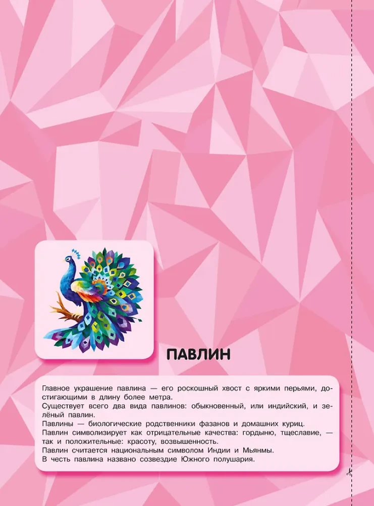 Ptaki