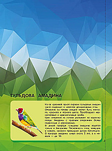 Ptaki
