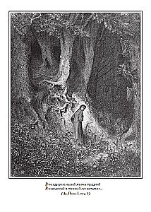 Divine Comedy