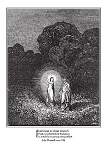 Divine Comedy