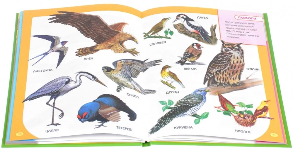 The First Book for the Very Young
