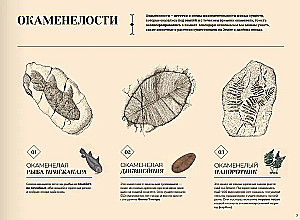 Pazaudētie Zemes ainavas